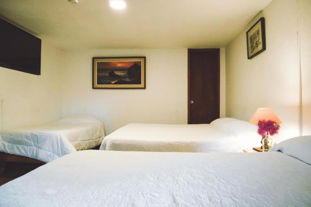 Casa Del Arupo Pansiyon Quito Dış mekan fotoğraf